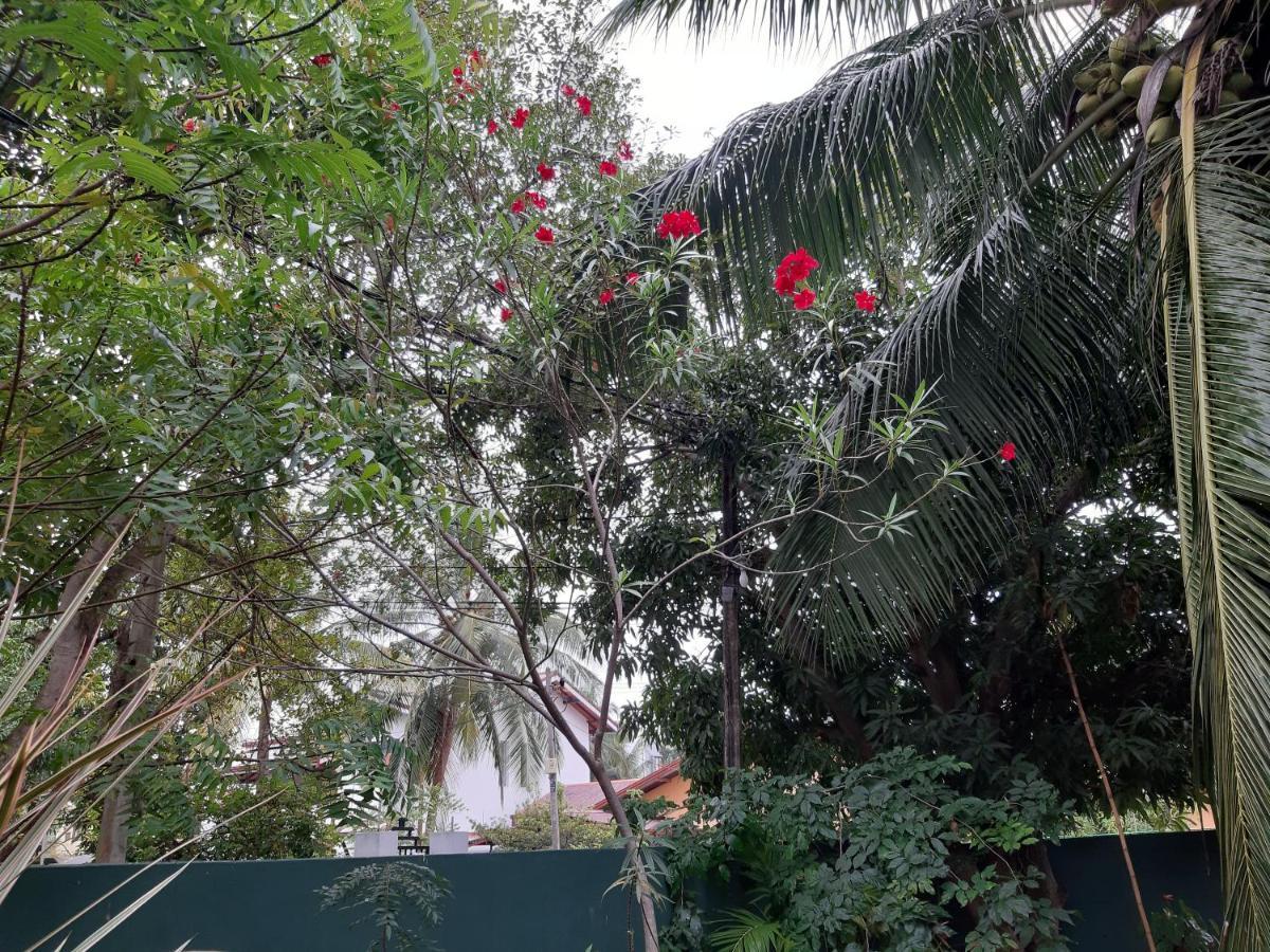 Hellen Homestay Negombo Exteriör bild