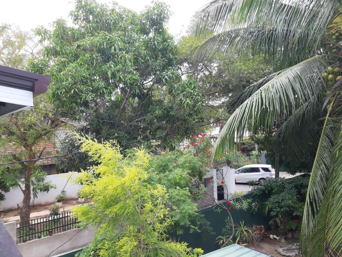 Hellen Homestay Negombo Exteriör bild