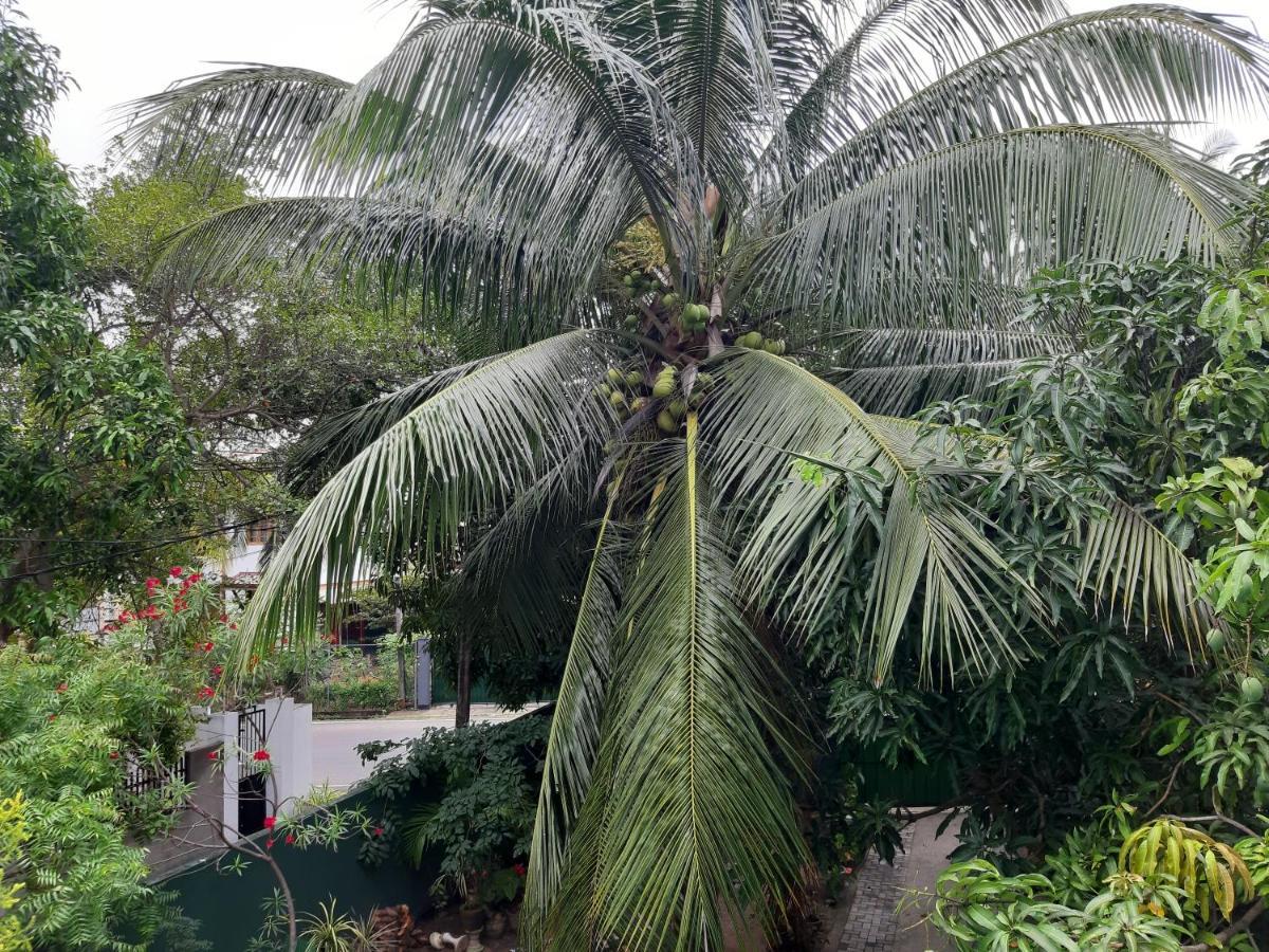 Hellen Homestay Negombo Exteriör bild