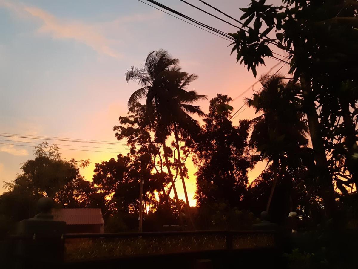 Hellen Homestay Negombo Exteriör bild